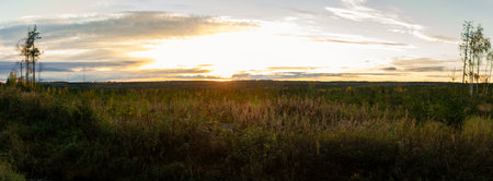 Sunset bathes the open landscape in warm golden hues, casting long shadows over wild grasses and sparse trees. Expansive sky blends with distant horizon, creating tranquil autumn evening ambiance. Captured in Finland, Europe.の写真素材