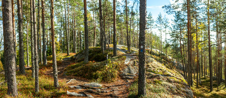 Narrow hiking trail meanders through rugged forest landscape with moss-covered rocks and towering pines. Sunlight filters through branches, casting warm autumn hues over peaceful woodland. Captured in Finland, Europe.の写真素材