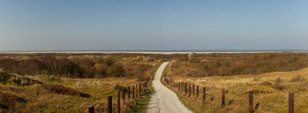 Panorama of a narrow gravel path winds through grassy dunes, flanked by rustic wooden posts, guiding towards the vast North Sea horizon under a clear sky, showcasing unspoiled nature at spring. Captured in Schiermonnikoog National Park, Netherlands, Europe.の写真素材