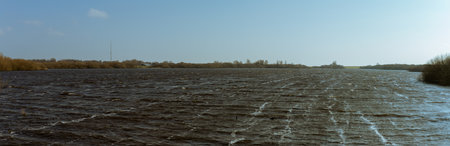 A vast, windswept lake with textured rippling waves stretches towards a distant shoreline, bathed in soft sunlight under a clear blue sky. A peaceful moment in nature, showcasing Dutch landscapes. Captured in Schiermonnikoog national park, Netherlands, Europe.の写真素材