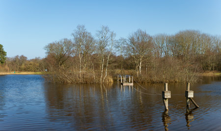 A floating wooden platform connected by ropes floats on a calm lake, surrounded by bare trees and lush nature, offering a serene atmosphere. A quiet retreat in an unspoiled natural setting.の写真素材