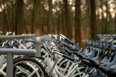 Close-up of metal bicycle rack with neatly arranged white rental bicycles featuring child seats, emphasizing eco-friendly travel and outdoor recreation in a natural setting. Captured in Hoge Veluwe National Park, Netherlands, Europeの写真素材
