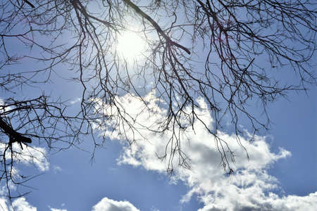 skyshineの写真素材
