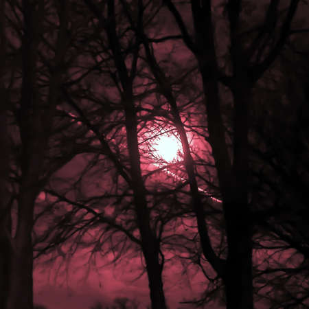 supermoon