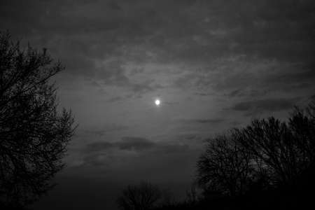 moonscene