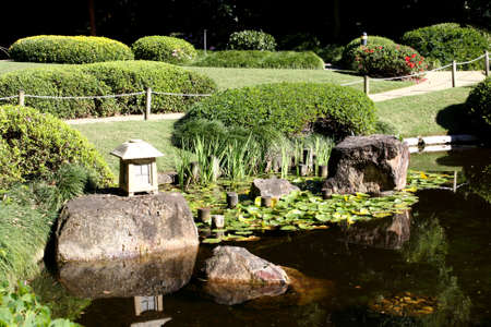 Chinese Water Lily Gardenの写真素材