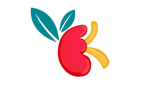 World kidney day icon.のイラスト素材