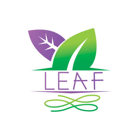 Leaf Logo Design Vector Template Setのイラスト素材