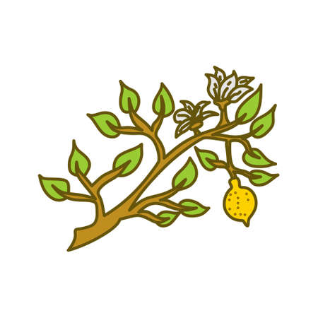 Lemon Fruit Design Template Vector Flatのイラスト素材