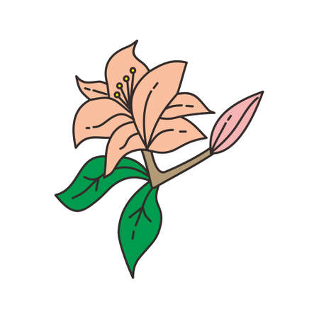 Flower Leaf Illustration Design Template Vectorのイラスト素材