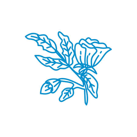Flower Leaf Illustration Design Template Vector Linearのイラスト素材