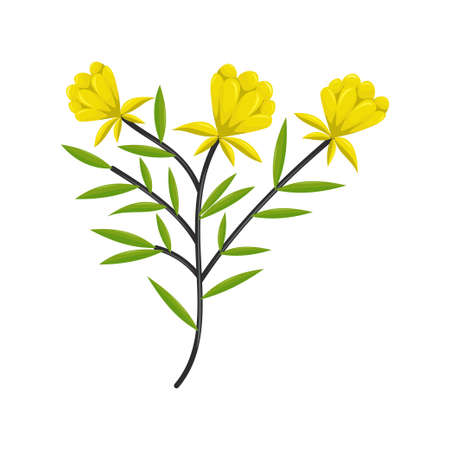 Hand drawn tree branches and leaves Vector Illustration のイラスト素材