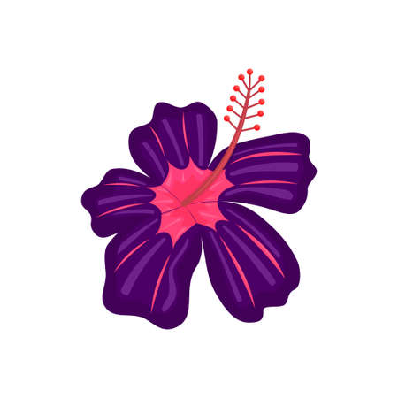 Vector floral botanical flower Illustration Color Ornamentのイラスト素材