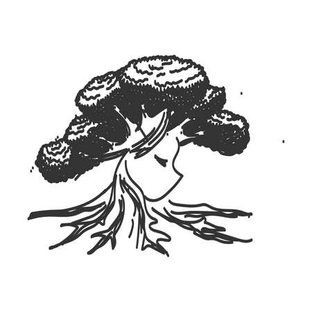 Oak Tree Woman Icon Illustration Brand Identityのイラスト素材