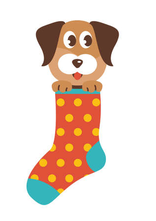 Dog in a Sock vector illustrationのイラスト素材
