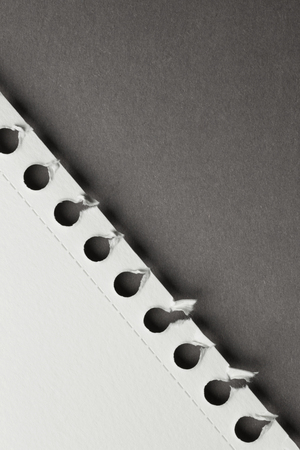 Piece of a ripped page from the sketch book, isolated on grayの写真素材
