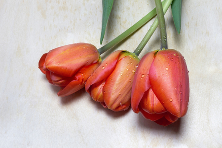 Fresh red tulip flowers bouquet on the tableの写真素材