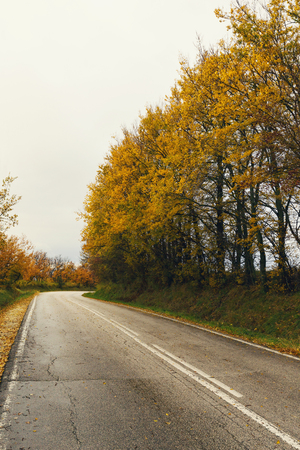 Asphalt road in the autumn forestの写真素材