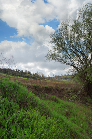 Green meadows and plowed fields in a spring day, cloudy skyの写真素材