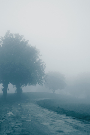 Landscape in the autumn mist, trees and roadの写真素材