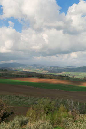 Landscape with green fields in a spring day, cloudy skyの写真素材