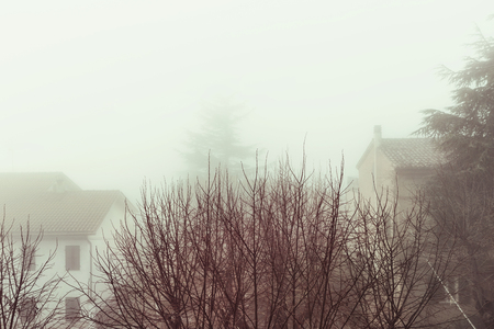 Trees and houses in the fog of an autumn morningの写真素材