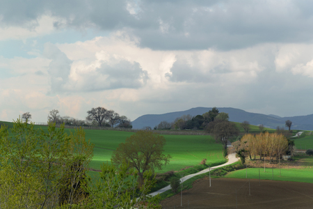 Landscape with green fields in a spring day, cloudy skyの写真素材