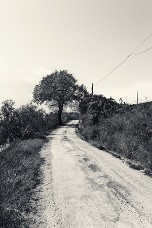 Black and white natural landscape with country roadの写真素材