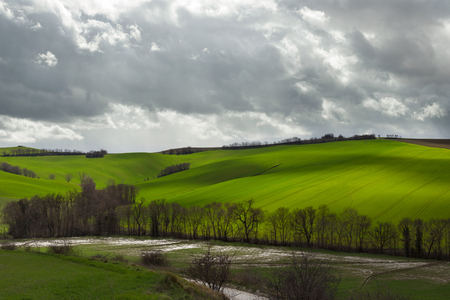 Landscape of green fields of wheat in spring,  cloudy skyの写真素材