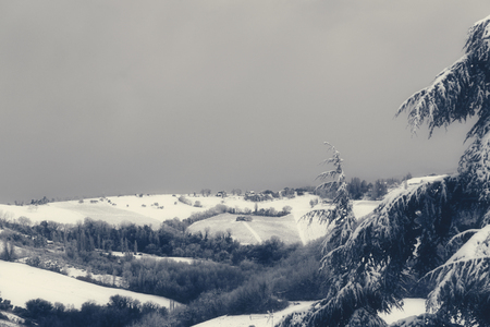 Beautiful winter landscape with snow covered pines treesの写真素材