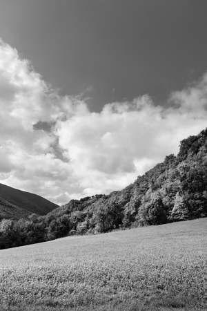 Natural landscape in black and white, meadows and cloudy skyの写真素材