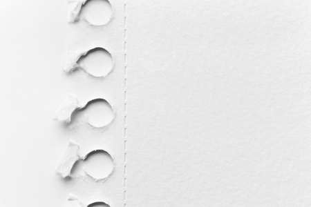 Piece of a ripped page from the sketch book