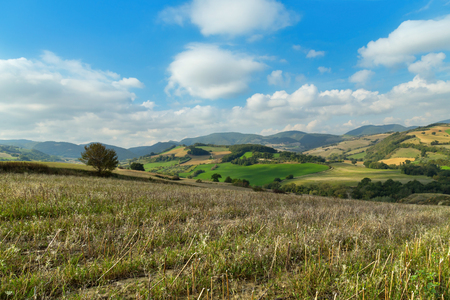 Landscape on a day of september, cultivated fields and blue sky with cloudsの写真素材