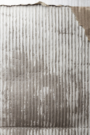 Wet corrugated cardboard sheet, background textureの写真素材