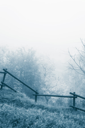 Park in the fog at morning, wooden fenceの写真素材