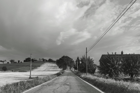 Black and white landscape, empty road between fieldsの写真素材