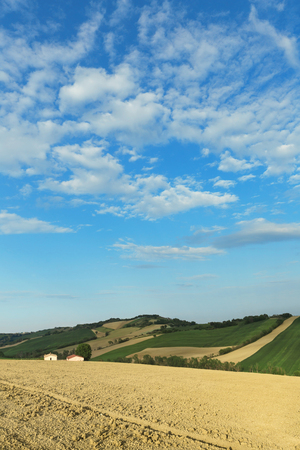Countryside landscape, cultivated fields and blue sky の写真素材