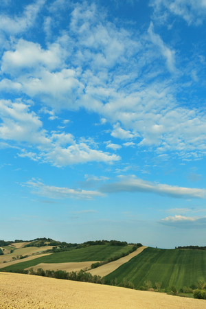 Countryside landscape, cultivated fields and blue sky の写真素材