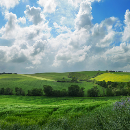 Landscape, green fields on a spring day, blue sky with cloudsの写真素材