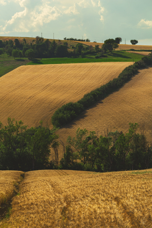 Countryside landscape, cultivated fields and cloudy skyの写真素材