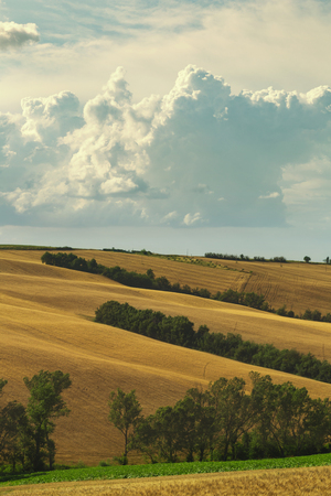 Countryside landscape, cultivated fields and cloudy skyの写真素材