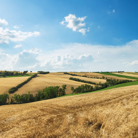 Countryside landscape, cultivated fields and blue sky with cloudsの写真素材