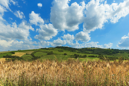 Countryside landscape, cultivated fields and blue sky with cloudsの写真素材