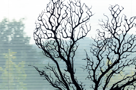 Interior home, decorative branches, window with forest view on backgroundの写真素材