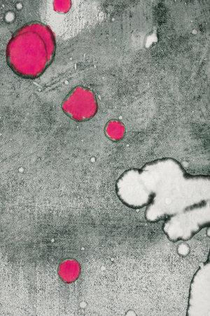 Halftones background, circles colored damaged spotted, old paper, detailの写真素材