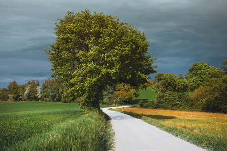 Beautiful rural landscape  at sunset, view from the white roadの写真素材