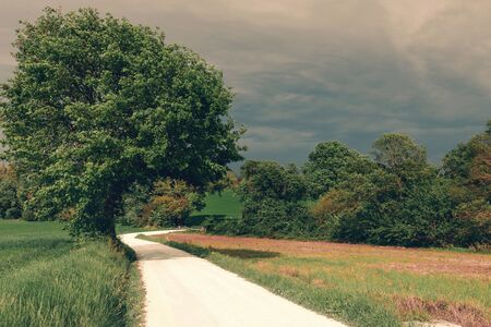 View of rural landscape in spring, white country road and treesの写真素材