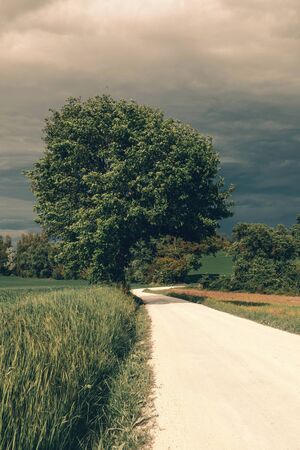 View of rural landscape in spring, white country road and treesの写真素材