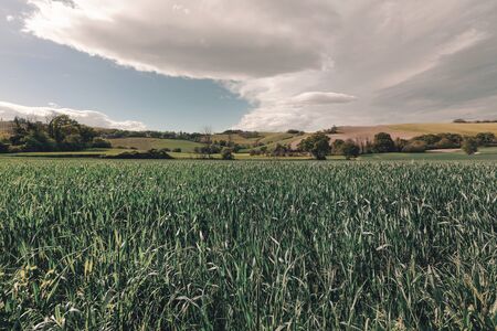 View of rural landscape, farmland and dramatic sky in springの写真素材