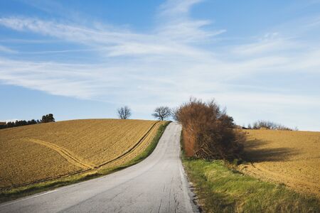 Rural landscape, road between plowed fields, blue skyの写真素材